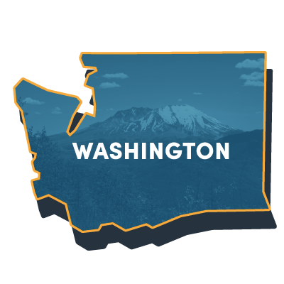 Washington Icon