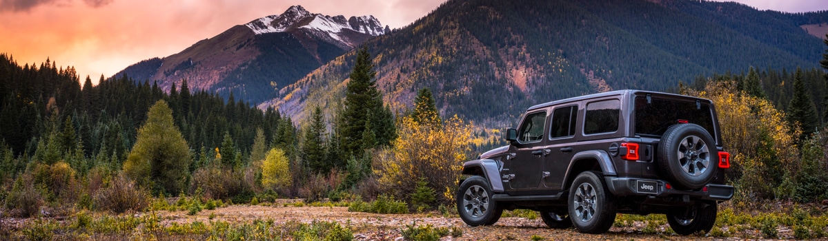 2020 Jeep Wrangler - Ready for adventure - What Kind of Car Should I Buy?