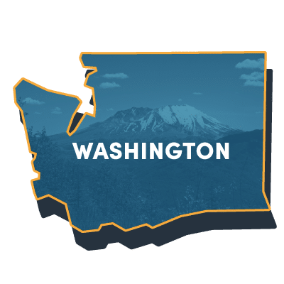 Washington Icon